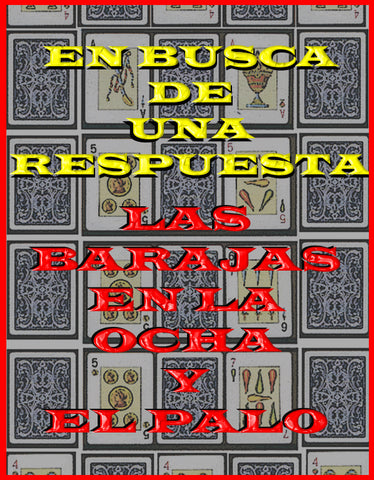 En Busca de una Respuesta PDF