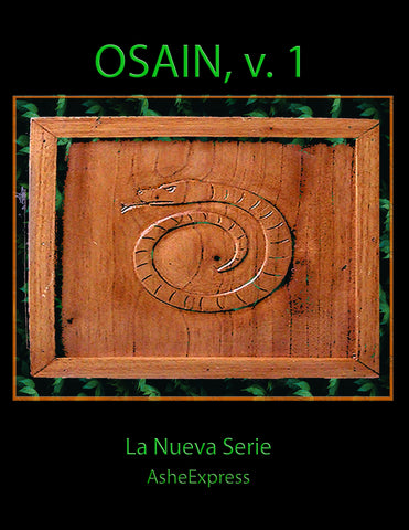 Tratado de Osain, La Nueva Serie, Volumen I, en PDF